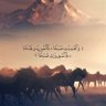 غيثان 💛🇴🇲🇵🇸💛 profil fotoğrafı