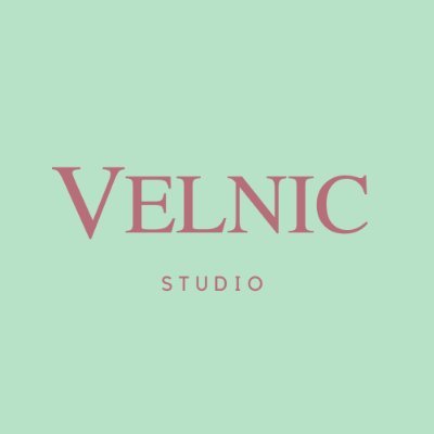 Velnic Studio's profile picture