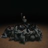 FiestadeRhodanthe's profile picture
