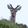 brooksie's profile picture