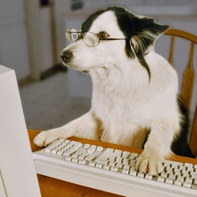 chart_carr's profile picture
