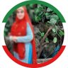 سمـــیه مـــرادی's profile picture