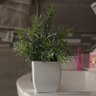 Фото профиля NYC Mom