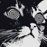 GatoDemais. INATIVO's profile picture