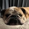 Profilbild von Victoria Bodley