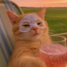 Barbs's profile picture