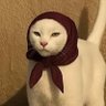 Profilbild von Lillinda