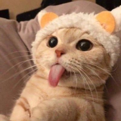 Papi's profile picture