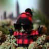 Profilbild von Garden Villain