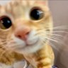 yyi's profile picture