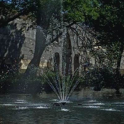 curioushour_'s profile picture