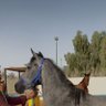 سليمان عبدالله's profile picture