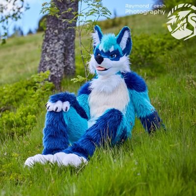 Mx Fox Fox's profile picture