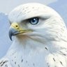 Profilbild von THE EURASIAN HAWK 🦅🌊