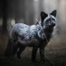 The Black Fox profil fotoğrafı
