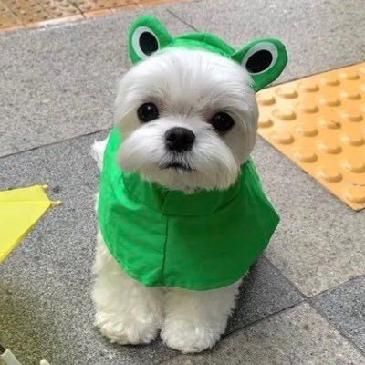 Me.Oilly's profile picture
