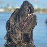 DaniDur's profile picture