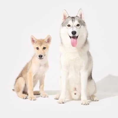 グレイ ラルフ's profile picture