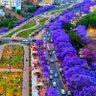 ابو مهند profil fotoğrafı
