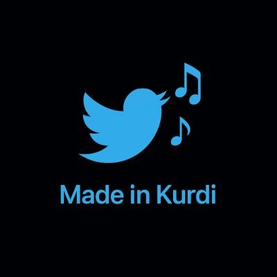 Made in kurdi 🎶's profile picture