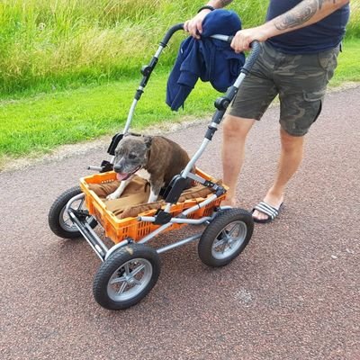 Damhertje2025's profile picture