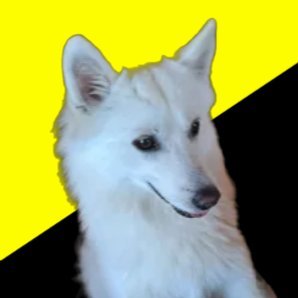 Ancap_doggo's profile picture