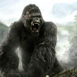 KingKong_91's profile picture