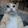 mami abi profil fotoğrafı