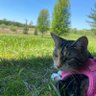 Profilbild von olive