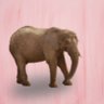 Blaike_BmB's profile picture