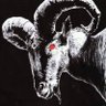 the devil's(NX)'s profile picture