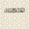 Фото профиля Badr Allam