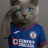 Daniel Segoviano's profile picture