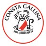 CONSTA.GALLINA 的头像