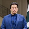 Irfan Haidri's profile picture