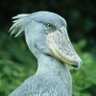 M. JIN T. profil fotoğrafı