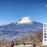 いっぴきの羊🐏🇵🇸's profile picture