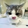 Profilbild von るな