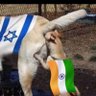 Arab profil fotoğrafı