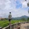 鸡老豆's profile picture