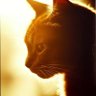 theestoiccat's profile picture