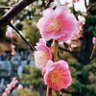 Фото профиля さっちょん