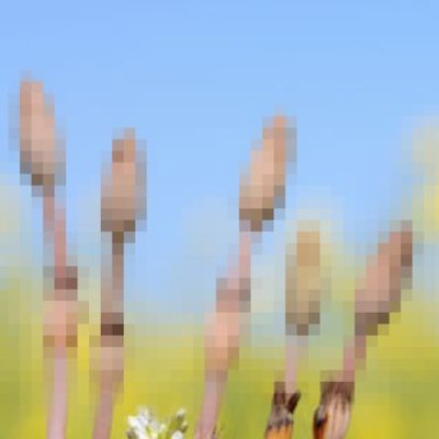 tsumitate46mas2's profile picture