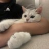 Leozhu1215 的头像