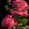 sawabai@shirsha5656's profile picture