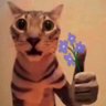 @振り上げた拳を花束に💐's profile picture