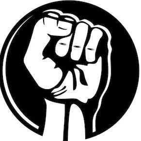 lesrevoltes_'s profile picture
