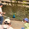 wu wei profil fotoğrafı