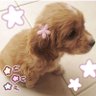 Madss ☆〜(ゝ。∂) profil fotoğrafı