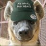 atlas's profile picture